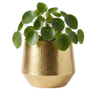 Pot de fleurs décoratif de taille moyenne en finition dorée, pour plantes de jardin, pots à fleurs et jardinières en métal, intérieur et extérieur - Product Image 1