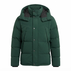 Chaqueta Acolchada con Capucha para Hombre, al por Mayor, Verde, Resistente al Viento, Gruesa, de Poliéster, Abrigo Casual de Invierno con Cierre de Botones y Cuello Alto - Product Image 2