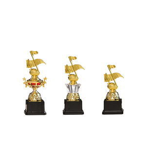Apex World Exports Trophée d'entreprise en verre avec corps métallique moderne et base en bois, personnalisable et portable, pour la reconnaissance de la leadership et des services professionnels - Product Image 4