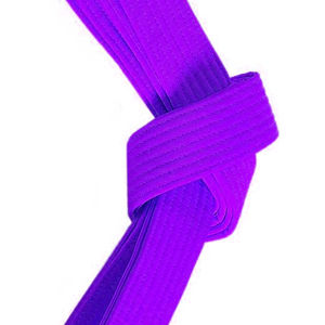 Ceintures de karaté sur mesure, fabrication directe d'usine, en vente / Vente en gros de ceintures de karaté d'arts martiaux avec broderie de logo personnalisée - Product Image 6