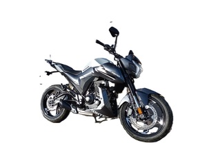 Motocicleta Deportiva ZT 125 Z2 LEARNER LEGAL FAST de 125 cc, Nueva, de Alta Calidad, Último Modelo, 1 Año de Garantía, Lista para Enviar Hoy - Product Image 2