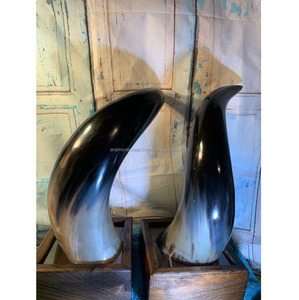 Par decorativo Premium de cuerno de búfalo/buey para sala de exposición y exhibición de arte de galería - Product Image 5