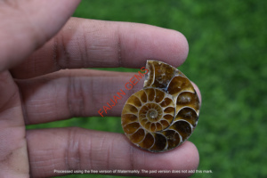 Polished Ammonite Slices Brown Natural Organic Gemstones for <b>Jewellery</b> Making <b>Shell</b> Loose Cabochon Gemstone FAIJAN GEMS - Product Image 3