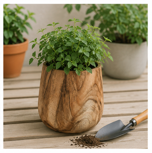 Maceta de Madera Maciza Tallada a Mano Ecológica para Suculentas, Maceta de Madera para Decoración de Jardín Interior de Escritorio, Personalizada OEM - Product Image 5