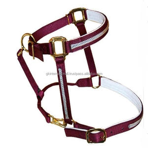 Licou de cheval en nylon de qualité supérieure personnalisé de luxe de haute qualité rembourré avec matériel en laiton licou de course de chevaux portable et entièrement réglable - Product Image 5