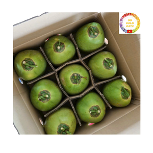 Noix de coco tendre |   Utilisation de boissons fraîches |   Ouverture facile |   Idéal pour les restaurants et complexes hôteliers côtiers |   Vente en gros au Vietnam - Product Image 1