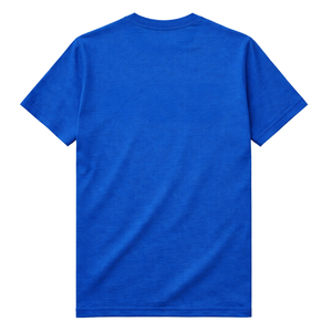 T-shirt en chenille bleu roi uni Phi Beta Sigma pour homme – Tissu premium, coupe confortable – Vêtement décontracté pour fraternité grecque - Product Image 5