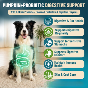 Tabletas y Masticables Personalizados para la Digestión Canina con Calabaza y 6 Probióticos, Fabricación OEM, Salud Intestinal y Apoyo Inmunológico para Mascotas, Sin Granos - Product Image 2