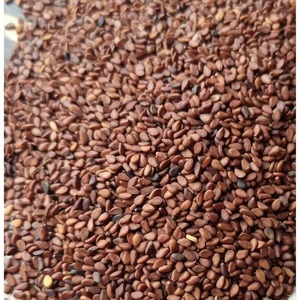 Graines de sésame rouge soigneusement nettoyées, préparées pour l'importation en vrac, emballées pour l'exportation, destinées aux acheteurs exigeant une récolte naturelle de qualité supérieure - Product Image 1