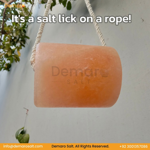 High Quality Premium Export Customizable <b>Pink</b> Himalayan Natural Animal Lick Salt Block Ribbon ISO HACCP Certified Real Touch OEM - Product Image 6