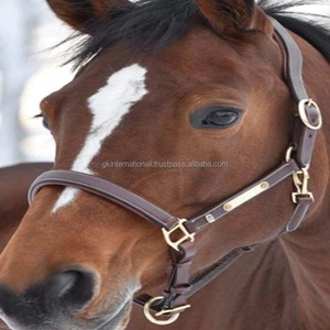Best Quality Custom made White Stitched Padded Leather Horse Halter Brass <b>Name</b> <b>Plate</b> Padded Nose Band Metal hardware - Product Image 1