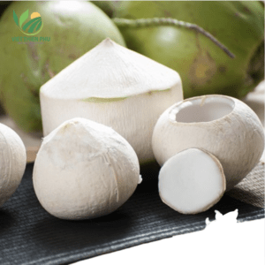 Cubos de Coco Fresco con Corte Diamante para Bebidas y Postres, Suministro al por Mayor - Product Image 6