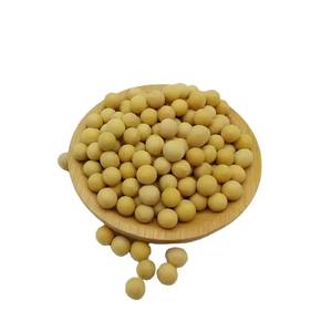 Semillas de Soja Orgánicas de Alta Calidad, Altas en Proteínas, Sin OMG, Soja Amarilla Grado 2 para Alimentación Animal, Secas y Empacadas en Bolsas a Granel - Product Image 6