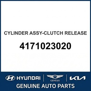 Elantra Nuevo, Otras Piezas y Accesorios para Autos y Camionetas 4171023020 - Product Image 1