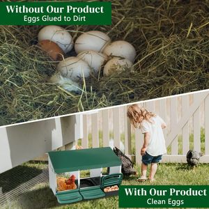 Cestello Nido per Galline Ovaiole a 3 Scomparti in Plastica Verde, Tipo H, per Pollaio - Product Image 4