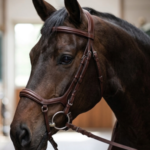 Bridon de cheval en cuir anatomique personnalisé noir, rembourré et doux, avec longe à nez tombant et frontale courbée unie, pour dressage et équipement équestre - Product Image 6
