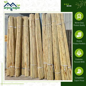 Pôles en bambou de bonne qualité et durables, bambou naturel de Tonkin, piquets de 150 cm pour tomates, légumes et plantes grimpantes - Product Image 5