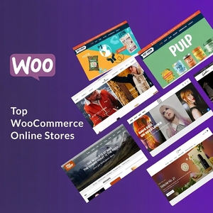 Services de boutique WooCommerce de nouvelle génération et solutions de développement de sites e-commerce personnalisés pour la croissance du commerce de détail en ligne - Product Image 4
