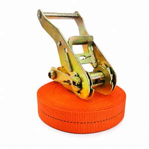 PROVINA OEM Sangle à cliquet en polyester 25 mm avec logo personnalisé, certifiée CE, résistance à la rupture personnalisable (jusqu'à 5000 kg), résistante à l'usure, sans… - Product Image 1