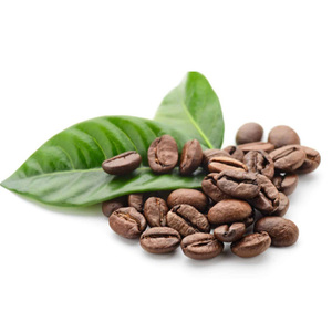 Granos de café verde natural de alta calidad para la venta al por mayor. Granos de café Arábica tostados. Compre granos de café tostados a precio económico. - Product Image 6