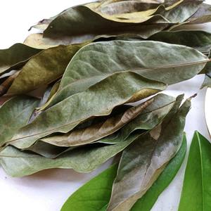 Dried Soursop Leaves Herbal Tea Loose Leaf Bundle With <b>String</b> Traditional Beverage Steep In Hot Water Organic Health Tea - Product Image 6