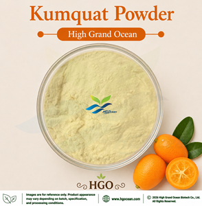 โรงงาน HGO จัดจำหน่ายผงคัมควอทบริสุทธิ์จากธรรมชาติ (เกรดอาหาร) ผงผลไม้แบบพ่นแห้งหรือแบบฟรีซดราย - Product Image 1