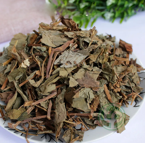 Daun Mint Ikan 100% Alami dengan Tekstur Halus dan Kualitas Konsisten untuk Pengolahan Bahan Botani