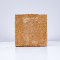 Bloc de Cocopeat organique comprimé de tourbe de Coco naturelle pour le jardinage Cocopeat de fibre de Coco emballé par coutume pour des pots et des planteurs de jardin