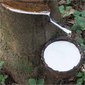 Caoutchouc naturel blanc liquide, latex de nitrile-butadiène (NBR), matière première d'huile essentielle pour le moulage et l'usage industriel - Product Image 3