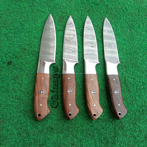 Cuchillo de Chef Profesional de Acero de Damasco Hecho a Mano, Afilado y Ecológico para Cortar Frutas, Personalizable OEM - Product Image 4