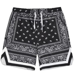 Shorts d'été pour hommes style indien à imprimé totem, respirants, imperméables, écologiques, séchage rapide, en coton, surdimensionnés, décontractés, pour la plage - Product Image 1