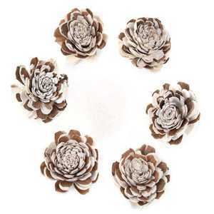 ดอกไม้โซลามัลติเบลิคุณภาพดีทำมือสำหรับงานแต่งงาน วันพ่อ วันฮาโลวีน งานอีเว้นท์ ตกแต่งบ้าน สำนักงาน ดอกไม้แห้ง - Product Image 1