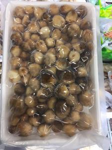 Champignons de paille congelés de haute qualité Champignons biologiques et naturels transformés au Vietnam - Product Image 4