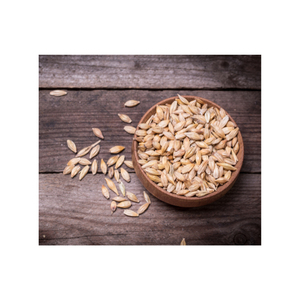 Malt d'orge séché de qualité supérieure pour l'alimentation animale – Graines en vrac pour la nutrition du bétail et l'exportation agricole - Product Image 2