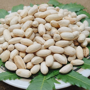 Graines de Neem de qualité alimentaire naturelle pour usage industriel dans les compléments alimentaires et la production d'huile - Product Image 2