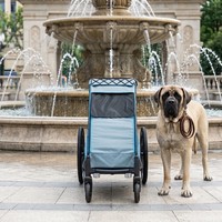 Remorque de vélo pliable KS-6200 OEM/ODM, cadre en alliage d'aluminium, roues pivotantes EVA de 8 pouces, suspension indépendante, résistant à l'eau 600D