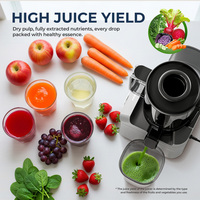 Max 300W 130mm brede invoer koude pers slowjuicer filterloze slowjuicer machine 150W OEM ODM fabrikant voor fruit en groenten