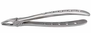 Forceps d'extraction dentaire en acier inoxydable chirurgical pour incisives inférieures, canines et premiers molaires à surface mate, instrument d'extraction radiculaire - Product Image 3