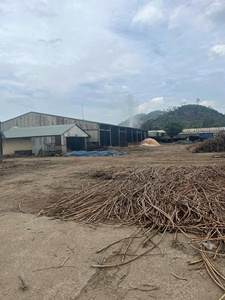 Matériaux en rotin vietnamien de qualité supérieure, cannes naturelles de différentes tailles pour la fabrication de meubles et de paniers - Product Image 6
