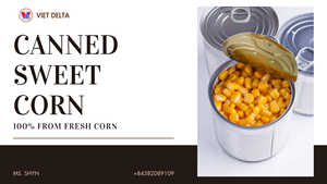 อาหารกระป๋อง ข้าวโพดเค็ม ผัก อาหารและเครื่องดื่ม เวียดนาม คุณภาพสูง น้ำดี มีใบรับรอง HACCP ISO - เวียดเดลต้า - Product Image 5