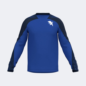 Sweat-shirt à capuche unisexe en molleton 100 % coton de haute qualité, 600 g/m², à épaules tombantes, avec logo personnalisé, en tissu French Terry, col ras du cou - Product Image 1