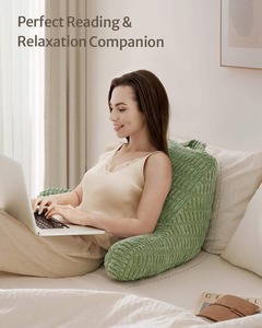 TERRALOOM GLOBAL High Quality Memory Foam Summer Cooling Fabric Removable Washable Flame Retardant Anti-Dust <b>Reading</b> Bed <b>Pillow</b> - Product Image 4
