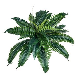 2 pezzi di felci artificiali di Boston 30 rami di plastica per interni esterni decorazioni per interni durevoli piante e vegetazione per interni/esterni - Product Image 1