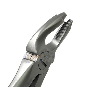 Pinzas de Extracción Dental Premium F1, Pinzas Universales Atraumáticas para Extracción de Dientes Superiores con Agarre Profundo y Mango Dorado Gervet - Product Image 6