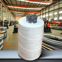 Usine chinoise personnalisée 104 206 12S/4 12S/6 20S/7 petits 150g 200g 1kg 5kg sacs en fil de polyéthylène couture en gros-PET