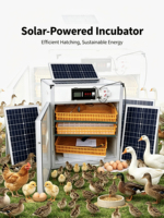 Incubateur à œufs solaire double alimentation 264 œufs - Contrôle automatique de la température et de l'humidité pour l'éclosion d'œufs de canard/oie/caille HJ-SI3