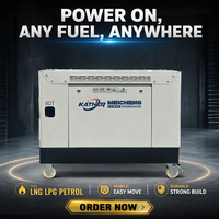 Groupe électrogène à essence OEM/ODM 20KW 30KW 40KW 50KW bicylindre multifuel avec alternateur en cuivre pour alimentation de secours