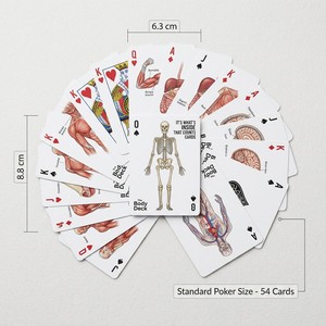 Cartas de Juego Educativas de Anatomía Humana con Diseño Original ZS-PC0062, Mazo de Referencia para Estudiantes y Minoristas en Línea - Product Image 4
