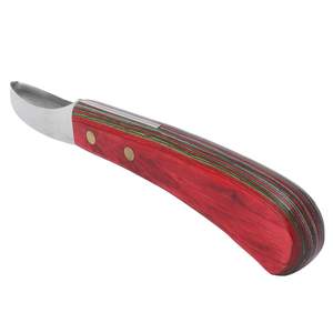 Cuchillo de Herrador Japonés Multicolor Hecho a Mano de Acero Inoxidable para Pezuñas de Caballo, Pequeño Instrumento Veterinario, Cuchillos de Bucle de LCI - ¡Gran Oferta! - Product Image 4