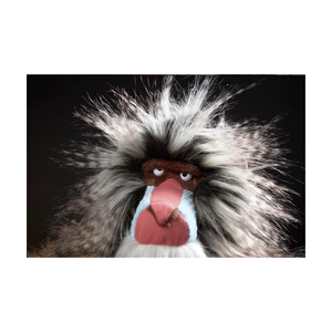 Peluche de Babión, Juguete de Peluche Suave y Realista de Mono con Pelo Salvaje y Cara Expresiva - Product Image 2